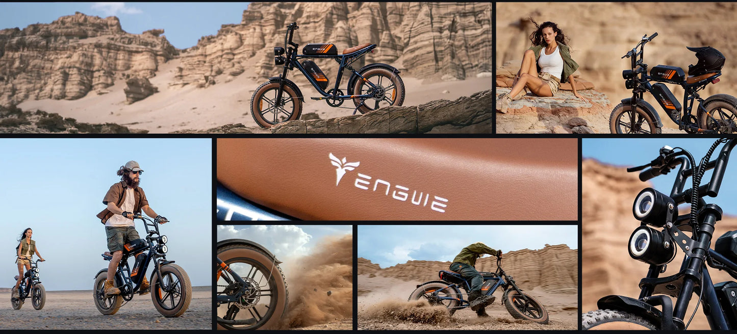 750W Motor 52V15.6AH Mountain E-bike Off-road, Fat Tire.