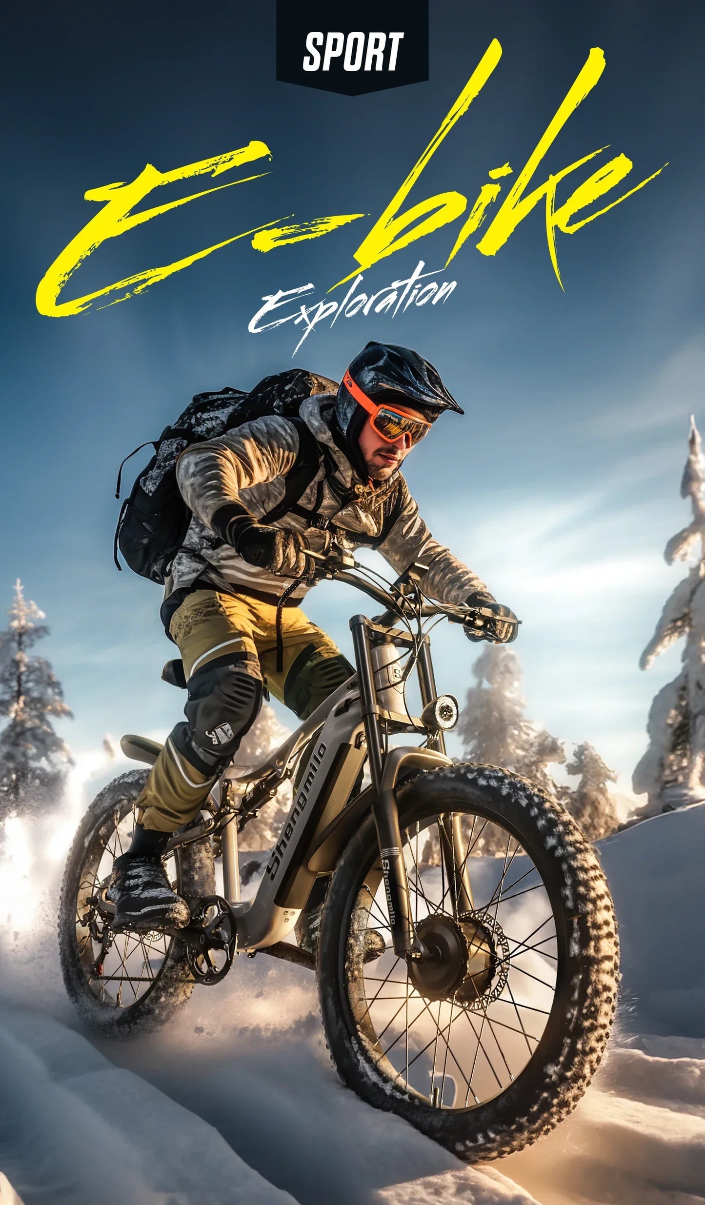 E-bike 2000W 48V, Hydraulic Brake ,shock absorption mountain off-road Electric bike