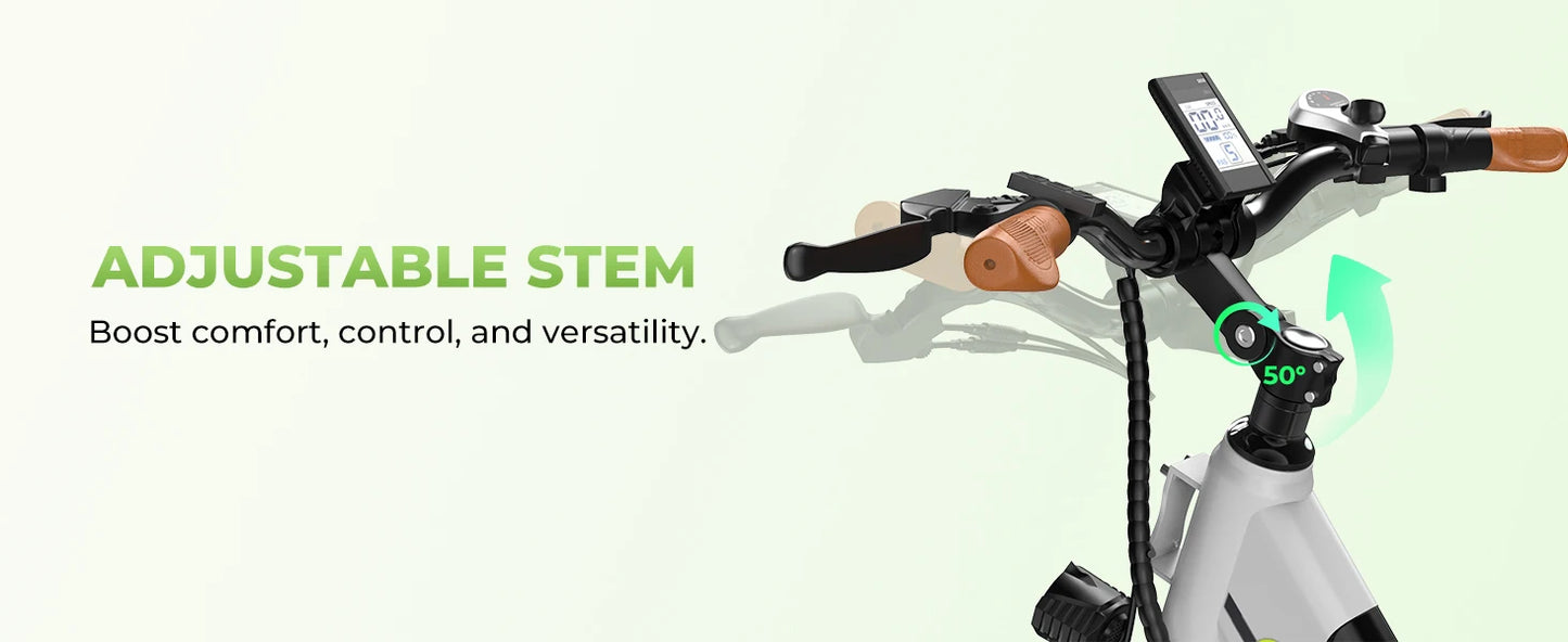 1000 Peak Electric Bike for Adults, up 80 Miles Removable Battery