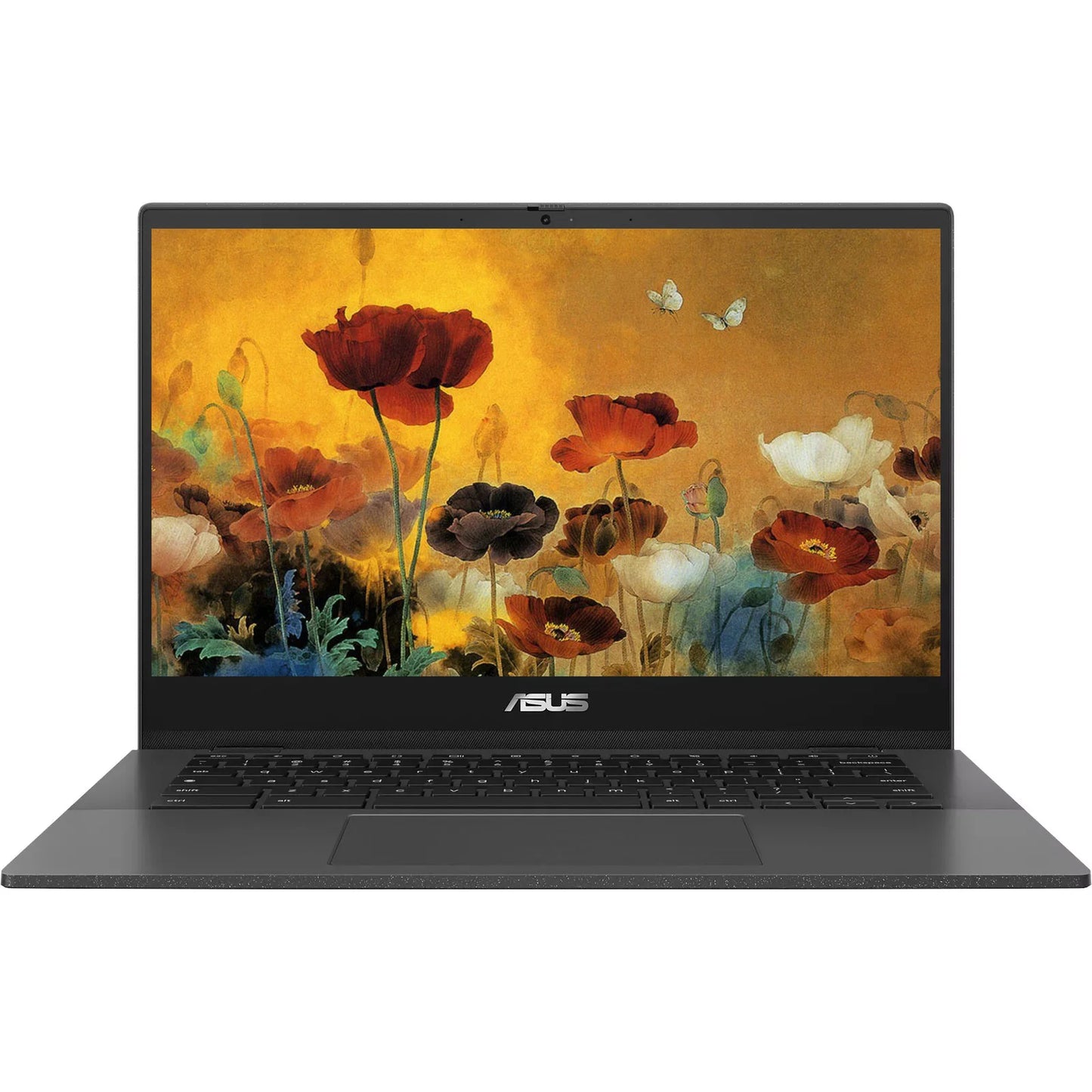 Chromebook 14" Business Laptop