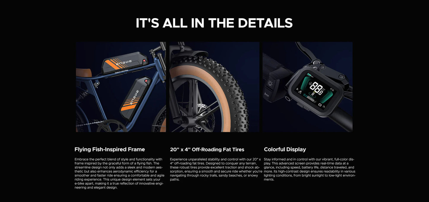 750W Motor 52V15.6AH Mountain E-bike Off-road, Fat Tire.