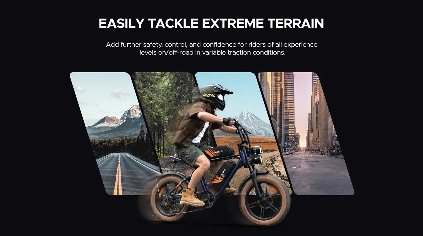 750W Motor 52V15.6AH Mountain E-bike Off-road, Fat Tire.