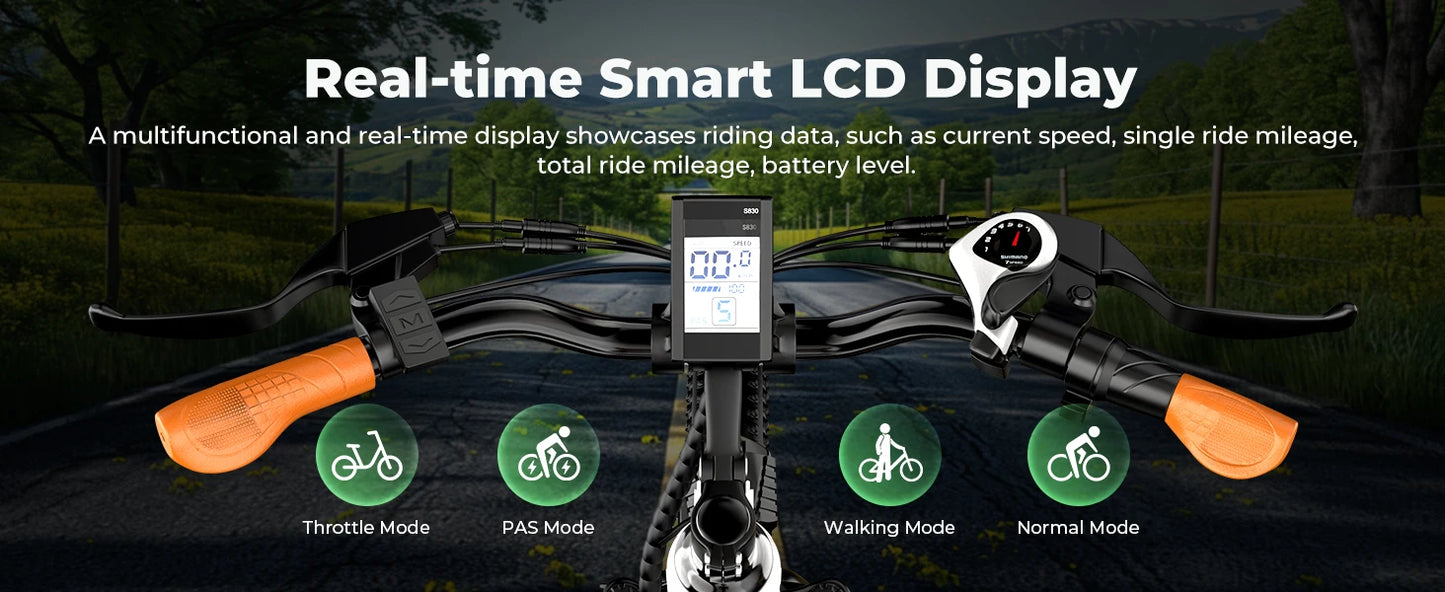 1000 Peak Electric Bike for Adults, up 80 Miles Removable Battery