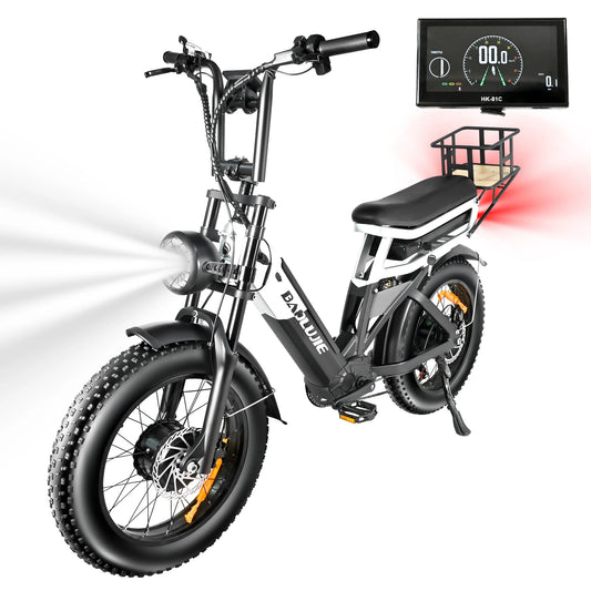 2000W Peak Cargo Electric Bike