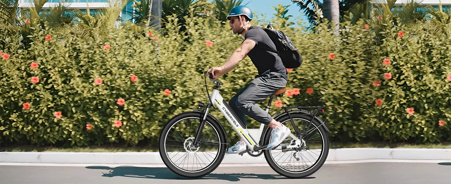 1000 Peak Electric Bike for Adults, up 80 Miles Removable Battery