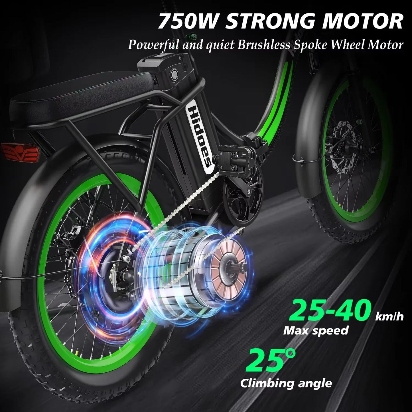 Folding Electric Bike 750W Powerful Motor