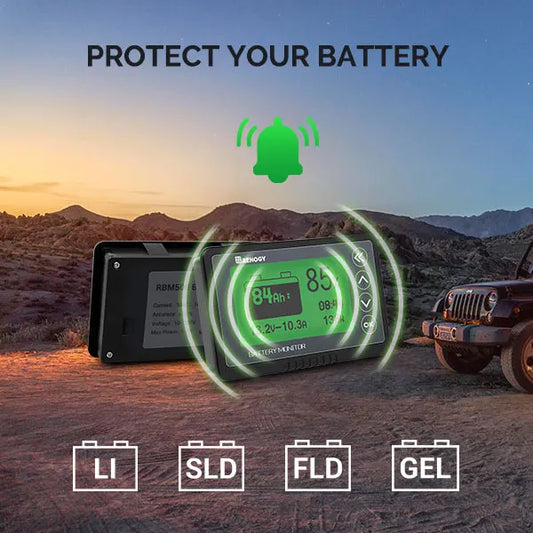 Renogy 500A Battery Monitor with Shunt