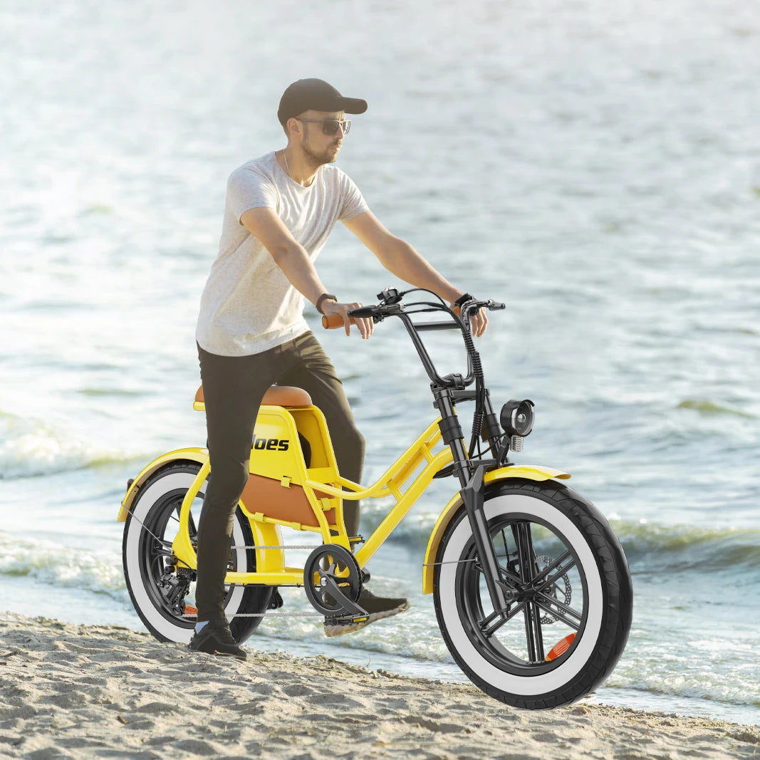 E-bike 700W Motor 48V17AH Lithium Battery Off-road Fat Tire .