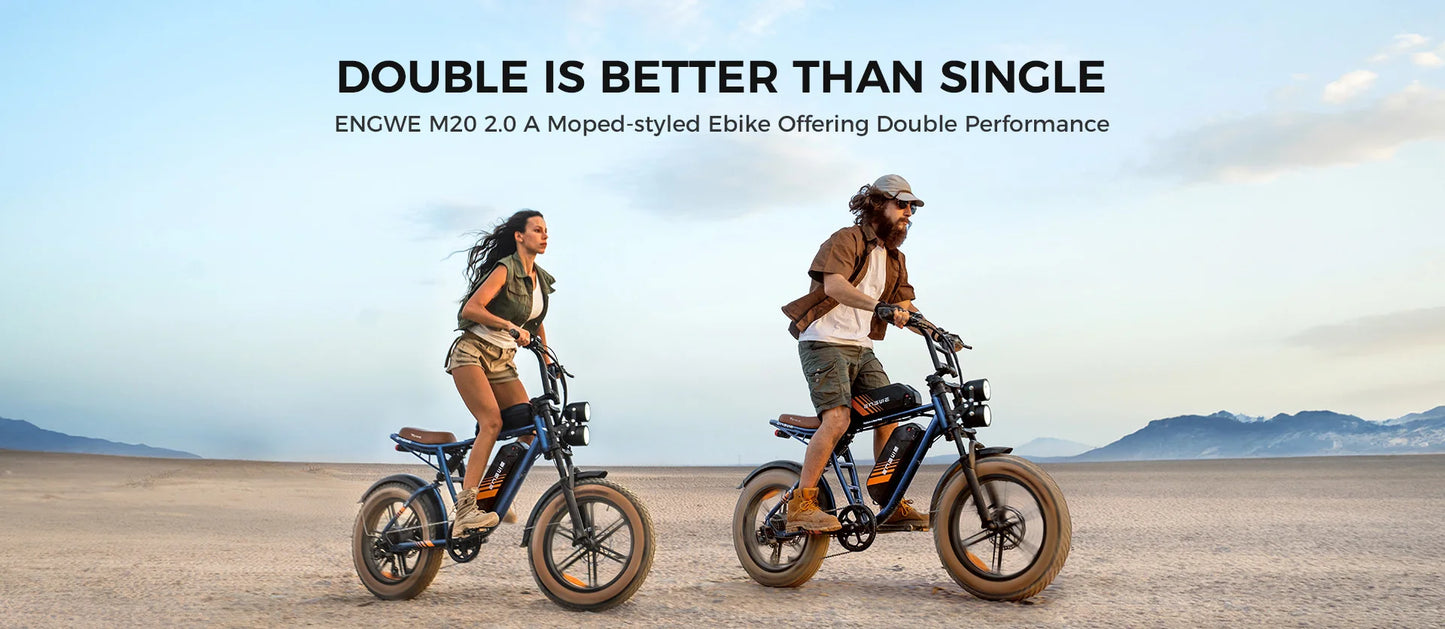 750W Motor 52V15.6AH Mountain E-bike Off-road, Fat Tire.