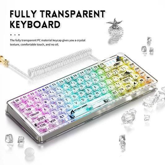 Swappable Wired Keyboard