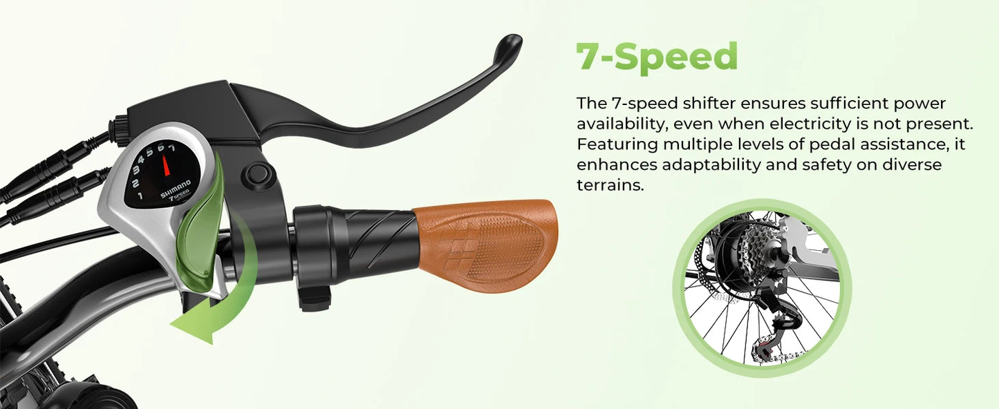 1000 Peak Electric Bike for Adults, up 80 Miles Removable Battery