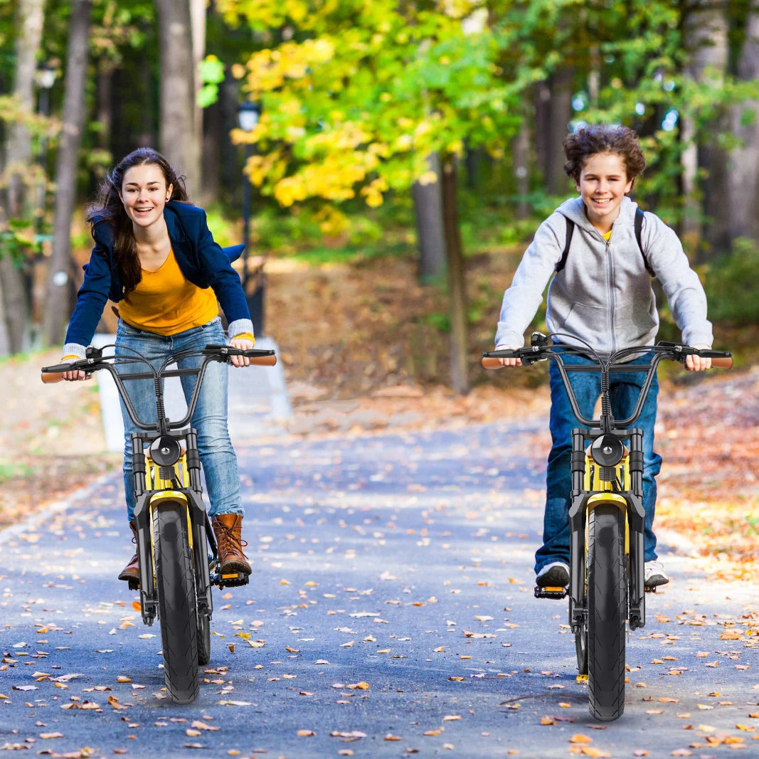 E-bike 700W Motor 48V17AH Lithium Battery Off-road Fat Tire .