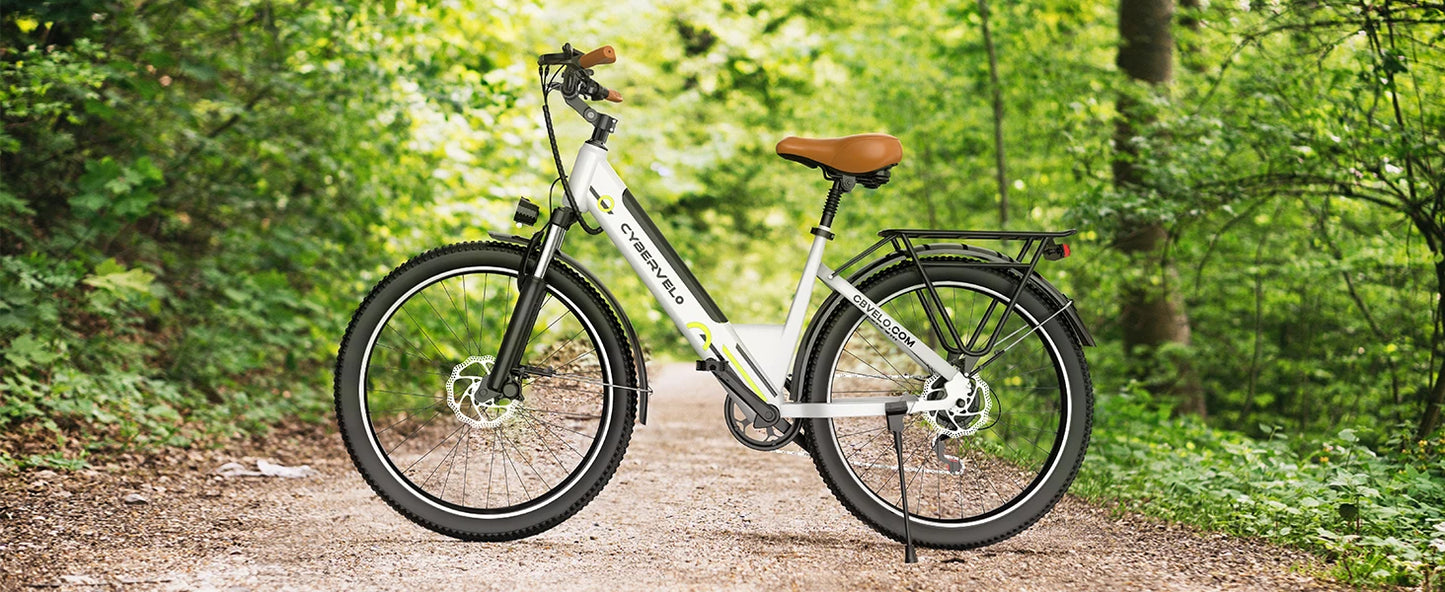 1000 Peak Electric Bike for Adults, up 80 Miles Removable Battery
