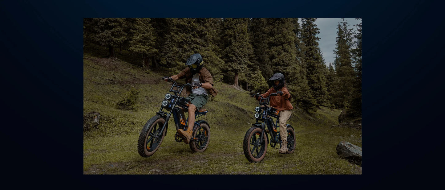 750W Motor 52V15.6AH Mountain E-bike Off-road, Fat Tire.