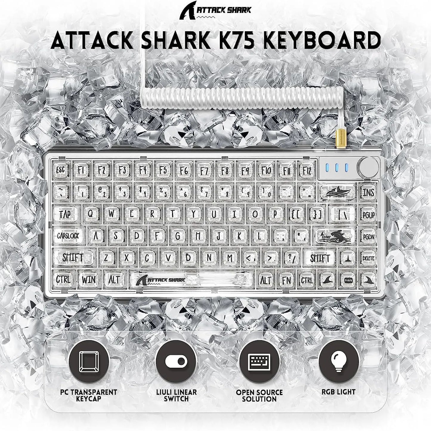 Swappable Wired Keyboard